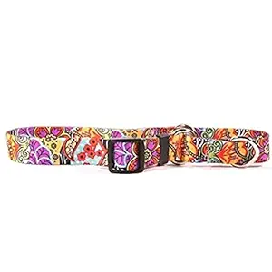 Amazon Floral Martingale Control Dog Collar - Size Small 14