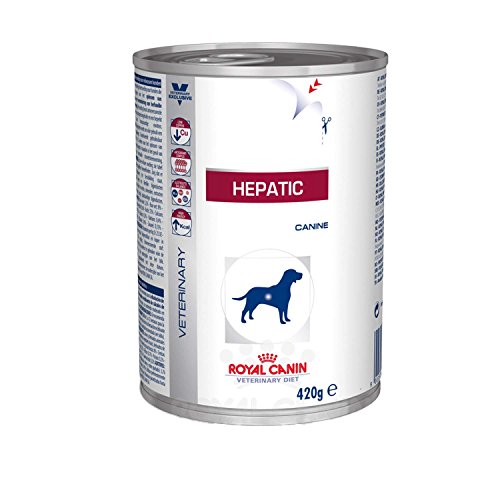 Preisvergleich Produktbild Royal Canin VET DIET Hepatic 12 x 200 g