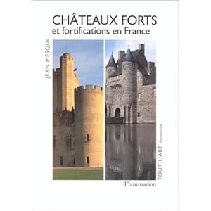 Châteaux forts et fortifications en France