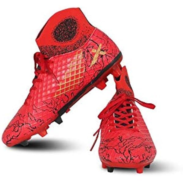 vector x jaguar price