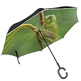 ALAZA Cute Verde Rana de árbol hojas diseño doble capa resistente al viento Reverse paraguas