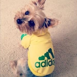 Dog Pet Hoodie,Sport Dog Clothes, 3 Colours (Red-Yellow-Black) (S, YELLOW)