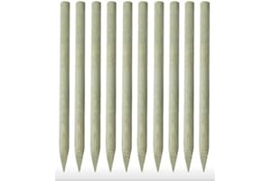 N.G. NICCOLAI - NICCO SHOP - PALI DI PINO TORNITI VARIE MISURE (10, H. 200 cm. Ø 5 cm.)