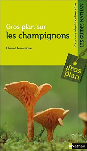 Livres Couvertures de Gros plan sur les oiseaux - Guide nature