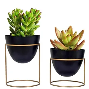 ecofynd 6 inches Alle Metal Plant Pot with Stand, Set of 2 | Black Flower Indoor Planter | Living Room Outdoor Garden | Office Desk Pot with Gold Metal Stand for Herbs Orchids Cacti Succulents