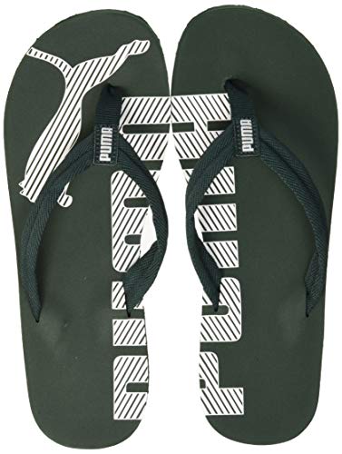 Puma Epic Flip v2, Chanclas Unisex Adulto, Verde (Ponderosa Pine White), 43 EU