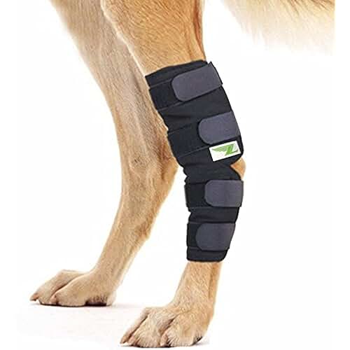 Amazon.co.uk dog knee brace