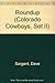 Produktbild Roundup (Colorado Cowboys, Set II, Band 16)