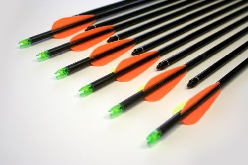 DSS 30 Premium Fiberglass Target Practice Arrows with Screw-In Tips by Dakota Sport & Supply
