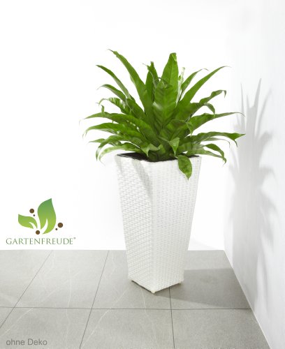 Weles GMBH Gartenfreude for Inside or Out with Waterproof Plastic Insert Poly Rattan - Image 3