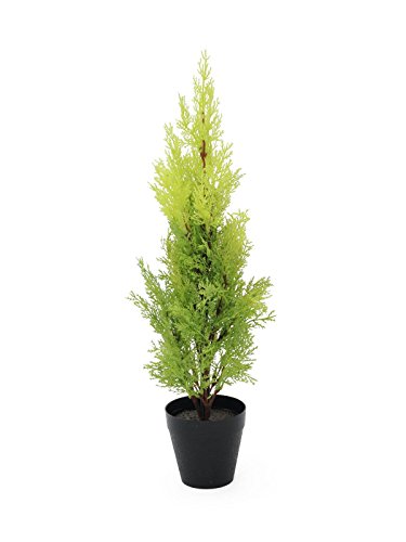 Preisvergleich Produktbild Zypresse, Leyland, 60cm, Kunstpflanze