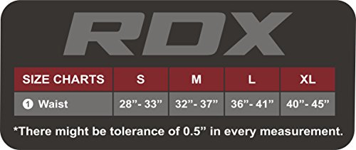 RDX Herren Neopren Fitness Gewichthebergürtel Gym Trainingsgürtel Gürtel für Gewichtheber - 2