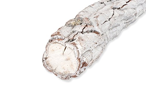 NaDeco® Korkeichenstamm weiß 200cm x 6-8cm | Galho Estrela | Korkstamm weiß gefärbt | Weißes Dekoholz | Weißer Baumstamm | Baumstamm Deko - 3