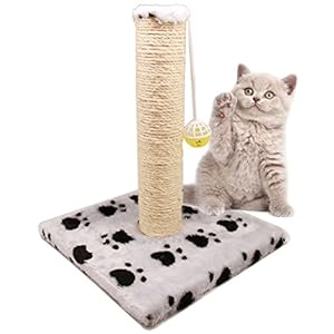 BPS (R) Juguete Rascador Con Campana para Gatos, Amarillo, Morado, Rosa, Gris y Verde, Scraper para Gato, Animales Domésticos 28 x 28 x 32cm BPS-3158-FBA