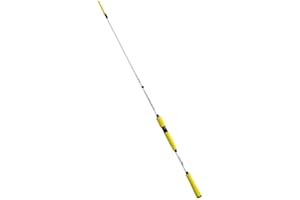 agc Nomura Canna Pesca Eging SW Kanji 250 Seppia cefalopodi