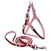 Produktbild ZXH77f Reflektierende Hundegurtgeschirr Hundewestegurt Mit Kletterseil Pet Lead Easy Für Walking Training (Farbe : Rot)