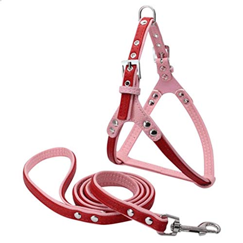 Preisvergleich Produktbild ZXH77f Reflektierende Hundegurtgeschirr Hundewestegurt Mit Kletterseil Pet Lead Easy Für Walking Training (Farbe : Rot)