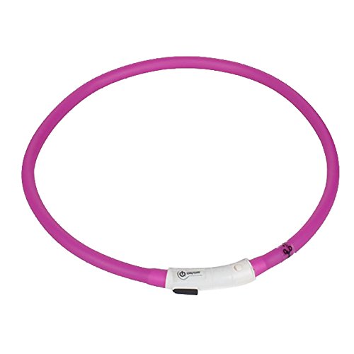 Preisvergleich Produktbild LED Visio Light Halsband Gurt Leuchtschlauch Leuchthalsband Led Halsband Katzenhalsband Hundehalsband Welpenhalsband Sicherheitshalsband Halsbänder Einstellbar