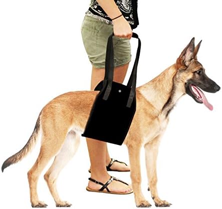 Dog Lift Harness - AntEuro Support Sling Helps Dogs With Weak Legs Stand Up, Walk, Climb Stairs &amp; Get into Cars (Black)