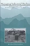 Image de Managing Industrial Decline: The British Coal Industry Between the Wars