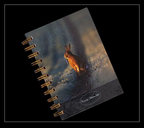 COUNTRY MATTERS Hare Design A5 Notebook Jotter - Wild Hare in field
