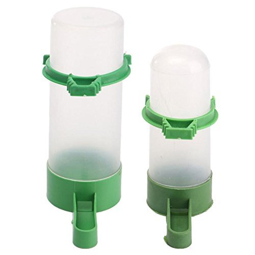 Patgoal Clear Plastic Seed And Water Feeder For Birds Birds Bird