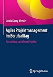 Agiles Projektmanagement im Berufsalltag: Für mittlere und kleine Projekte by