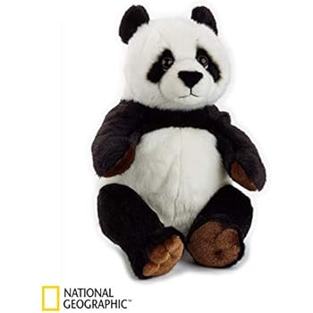 fiat 500 radiocomandata