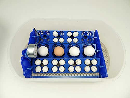 S12 Motorbrüter autom. Wendung Brutapparat, Inkubator, für bis zu 48 Eier Inkubator - 5