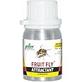 Fruit Fly Trap Attractant 50ml (Methyl Eugenol) for Bactrocera Dorsalis, Pack of 1.