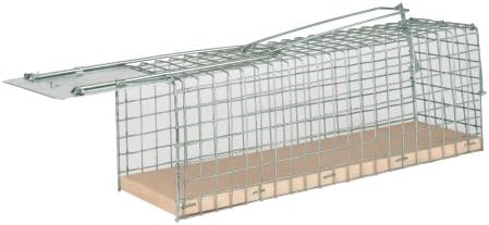 Nasse to Rats Reusable Durable ? Non Lethal Rat Trap ? Highly Effective ? Green Car