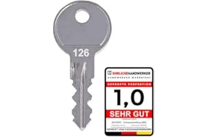 BAYESEN Clé de rechange compatible avec Mini code 041 - Clé de rechange de qualité supérieure pour coffre de toit, coffres à skis et porte-vélos - Serveuse