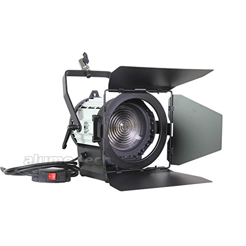 Pro 20W/50W/80W/100W/200W LED Spotlight+Barndoor+Filter For Film Camera Video Photography Continuous Light (LED-100W)