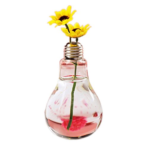 Da.Wa Glasvase in Form einer Glühbirne Blumenvase Pflanzen Micro Landschaft Eco Transparent Bottle,12 x 8 cm