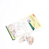 Veilchenwurzel Doppelpack (B-Ware) günstig NEU - 7