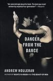 Dancer from the Dance: A Novel by Andrew Holleran