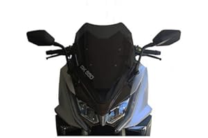 FACO 28465 Cúpula 3 mm F Compatible con Ahumado 390 x 480 cm, Compatible con Kymco AK IE E4 ABS 550 2017 2018