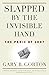 Slapped by the Invisible Hand: The Panic of 2007 (Financial Management Association Survey and Synthesis) (English Edition) by 