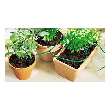 Bewässerungs System für Balkon Pflanzen Wasserspender Blumen: Amazon.de: Garten