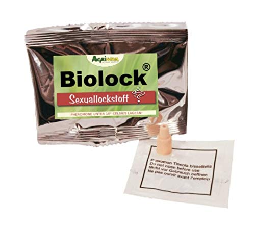 Preisvergleich Produktbild Agrinova Brotkäfer-Lockstoffdispenser (Pheromon + Fraßlockstoff (4 x 1 Set) Stegobium paniceum)