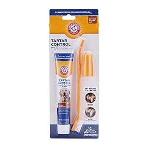 Arm & Hammer Paste & Brush Set