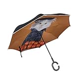 Material: Polyester Lustige Katze mit Tomaten Doppelschicht faltender Anti Uv Schutz winddichter Regen gerade Autos Golf umgekehrter umgekehrter Regenschirm Stand mit C förmigem Griff