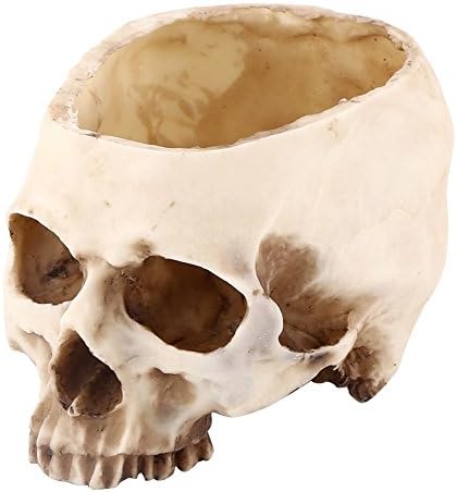 ESOONS Skull Head Flower Pot Plant Bowl Container Garden Planter Multifunctional Tabletop Storage Tank Replica Skeleton Model Home Bar Table Decor Halloween Ornament