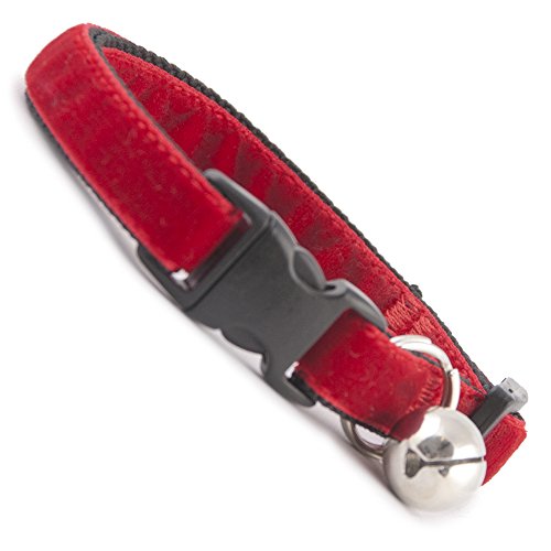 red velvet cat collar