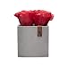 Produktbild Amara Stone Infinity Rosen-Box Quadratisch (4 Rosen) | Rosenfarbe: Glamour Red (Rot) in dunkler Stone-Box | Langlebig konserviert bis 3 Jahre | Handgemacht in Deutschland!