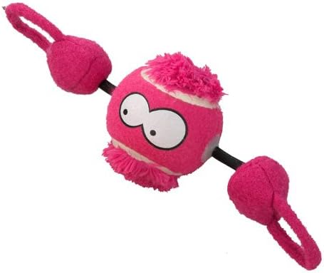 Coockoo Shoot Dog Toy, 7.8 x 7.8 x 7.8 cm, Purple