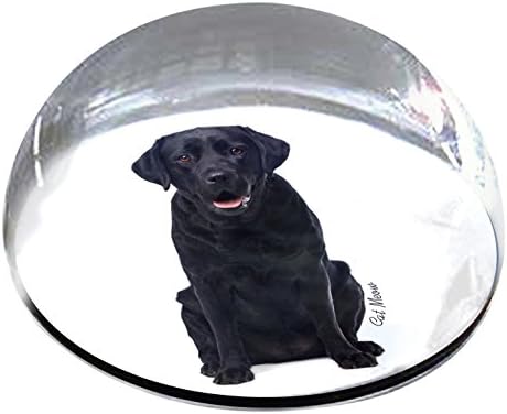 Forever Crystal "Black Labrador" Pet Memorial Magnet
