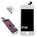Produktbild New Weiß Silber iPhone 5 5 G Modell A1429 Ersatz Display mit Werkzeug