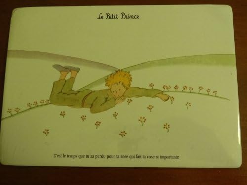 FRENCH VINTAGE METAL SIGN 20x15cm PETIT PRINCE DAISY