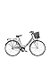 Produktbild Girardengo Monotrave Hollandfahrrad, Stahl, Grau